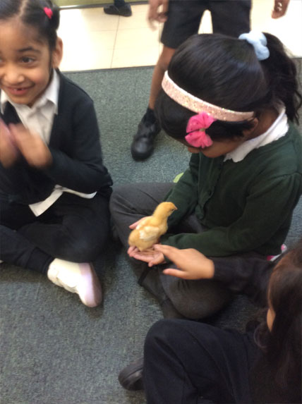 Herrick Primary School